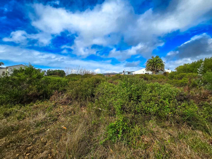 0 Bedroom Property for Sale in Stilbaai Wes Western Cape